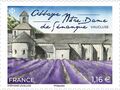 1123043 TP ABBAYE ND DE SENANQUE BD